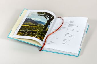 Gaucho. Das Argentinien-Kochbuch