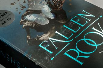 Fallen Rook
