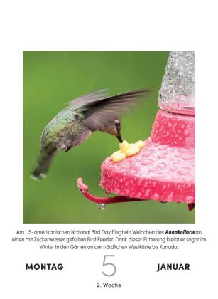Vogelkalender 2027 - Tagesabreißkalender zum Aufstellen oder Aufhängen