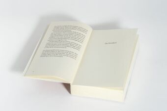 Der Apfelsammler