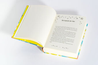 Der Sommer, in dem mir meine Wünsche weggeschnappt wurden 