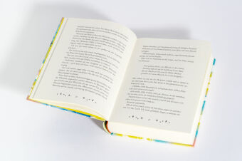 Der Sommer, in dem mir meine Wünsche weggeschnappt wurden 