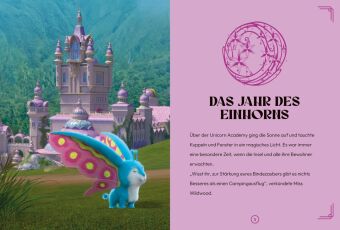 Unicorn Academy - Das Jahr des Einhorns