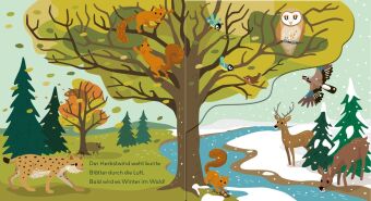 Baby Pixi (unkaputtbar) 178: Flippediflapp: Tiere im Wald