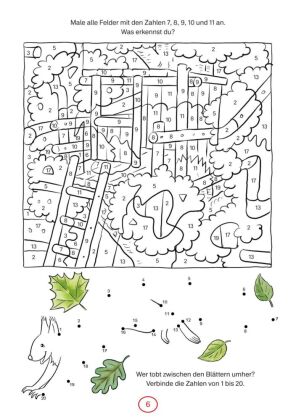 Conni Gelbe Reihe (Beschäftigungsbuch): Malen mit Zahlen
