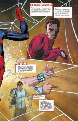 Spider-Man: Brand New Day