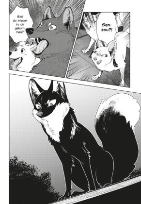 Der Fuchs und der kleine Tanuki 6
