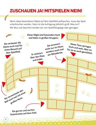 Fußball Academy: Das große Fußball-Rätselbuch
