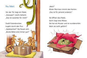Die Schule der magischen Tiere ermittelt Neuausgabe 2: Der Hausschuh-Dieb