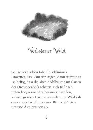 Ponyherz 24: Ein Fohlen sucht eine Familie
