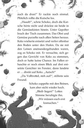 Die Haferhorde 1: Flausen im Schopf