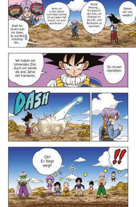 Dragon Ball SD 11
