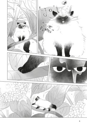Fairy Cat 1