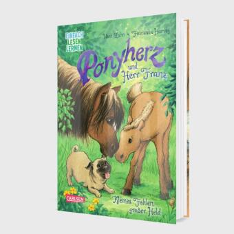 Ponyherz und Herr Franz: Kleines Fohlen, großer Held
