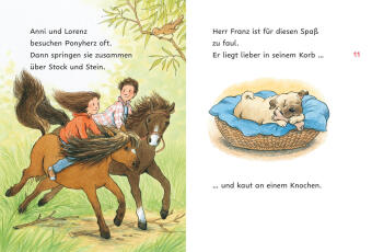Ponyherz und Herr Franz: Kleines Fohlen, großer Held