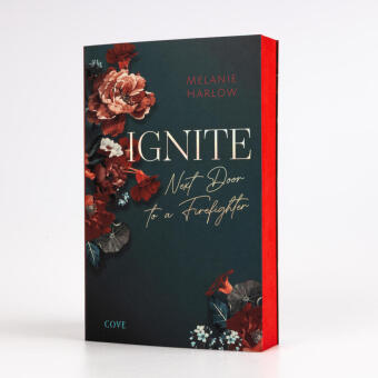 Ignite (New Beginnings at Cloverleigh Farms 1)
