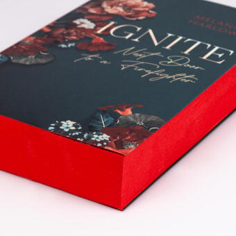 Ignite (New Beginnings at Cloverleigh Farms 1)