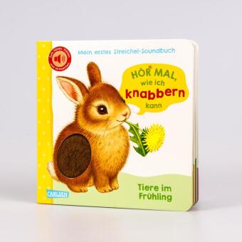 Hör mal, wie ich knabbern kann (Mein erstes Streichel-Soundbuch 5)