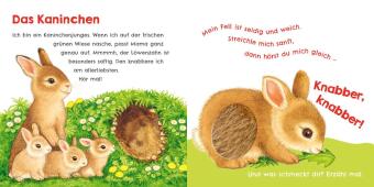Hör mal, wie ich knabbern kann (Mein erstes Streichel-Soundbuch 5)