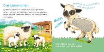 Hör mal, wie ich knabbern kann (Mein erstes Streichel-Soundbuch 5)