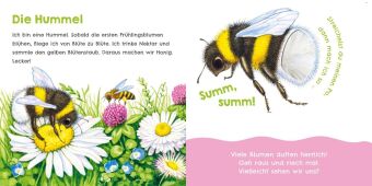 Hör mal, wie ich knabbern kann (Mein erstes Streichel-Soundbuch 5)