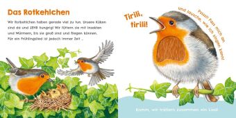 Hör mal, wie ich knabbern kann (Mein erstes Streichel-Soundbuch 5)