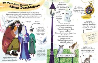 Potter Guides: Professor Dumbledore