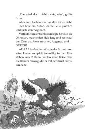 Die Haferhorde 4: Schmetterlinge im Ponybauch 