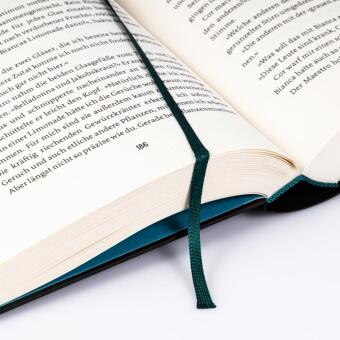 Stadt der Sänger und Verschwörer (Stadt der Magier 2) 