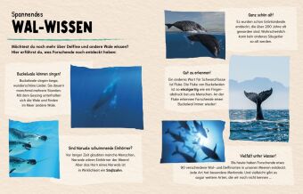 Sind Wale klüger als Menschen? (Gute Frage!)