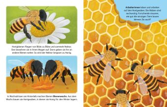 Sind Bienen kleine Superhelden? (Gute Frage!)