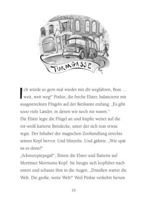 Die Schule der magischen Tiere Neuausgabe 7: Wo ist Mr. M?