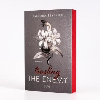 Trusting The Enemy (Sons of Chicago 2)