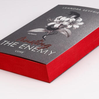 Trusting The Enemy (Sons of Chicago 2)