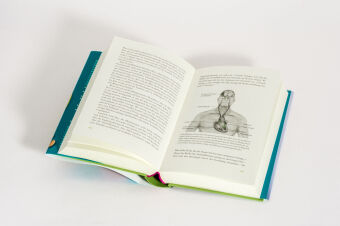 Der Vitamin- und Nährstoffkompass 