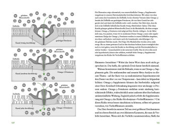 Der Vitamin- und Nährstoffkompass 