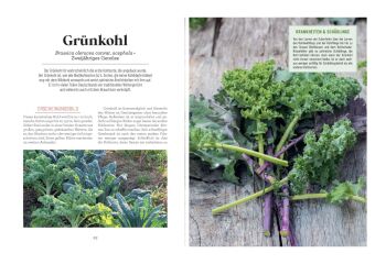 Der Survival-Garten - Gemüse- und Obstsorten, die allen Widrigkeiten trotzen