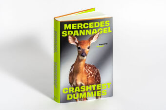 Crashtest Dummies