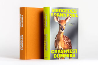 Crashtest Dummies