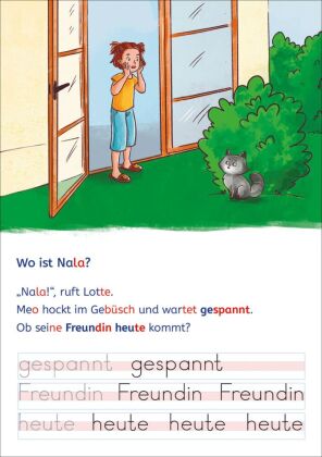 Leselöwen - Lesen und schreiben lernen mit Spurrillen - Die Katzen-Detektive