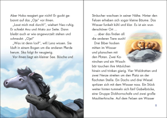 Wildpferde - mutig und frei (Band 6) - Im Revier des Bären