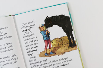 Reiterhof Ponyglück (Band 1) - Ein Pony für Sina