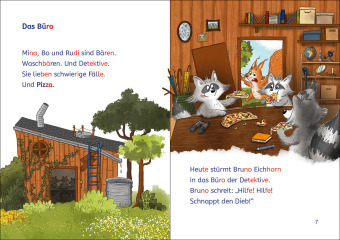Leselöwen 1. Klasse - Drei Waschbären für alle Fälle