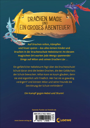 Drachenschule Nebelsturm (Band 4) - Die Wächter des Drachengoldes 