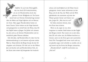 Wundermähne (Band 4) - Das goldene Wildpferd