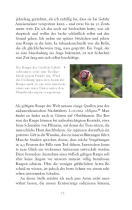 Die fabelhafte Welt der Schmetterlinge