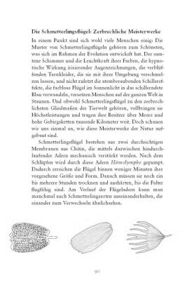 Die fabelhafte Welt der Schmetterlinge