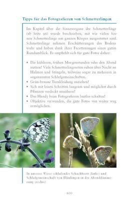 Die fabelhafte Welt der Schmetterlinge