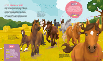 WAS IST WAS Kids Pferde und Ponys. Wild, stark und einfach toll!