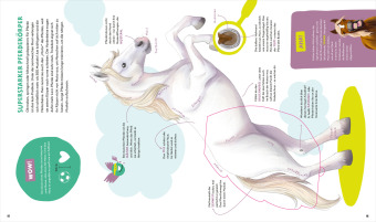 WAS IST WAS Kids Pferde und Ponys. Wild, stark und einfach toll!